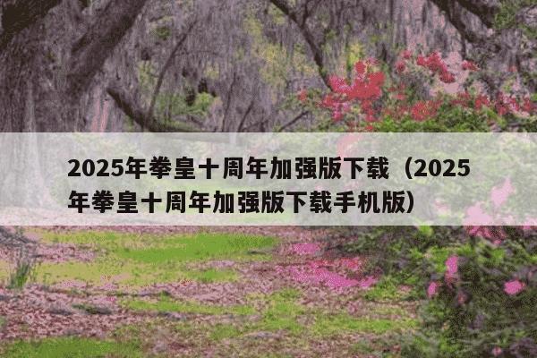 2025年拳皇十周年加强版下载(2025年拳皇十周年加强版下载手机版)