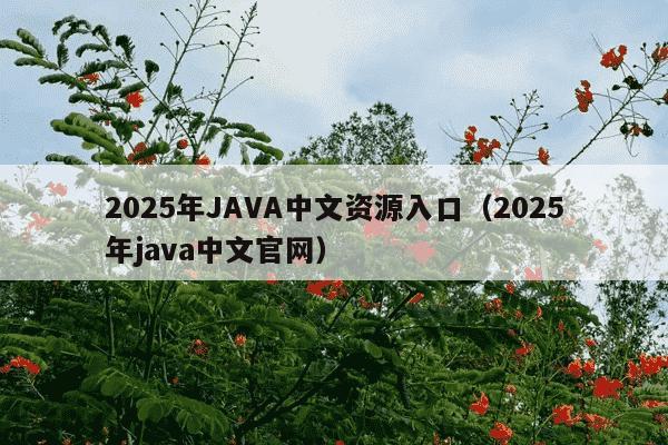 2025年JAVA中文资源入口(2025年java中文官网)