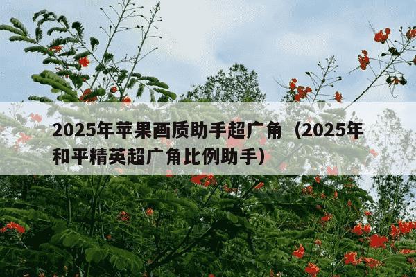 2025年苹果画质助手超广角(2025年和平精英超广角比例助手)