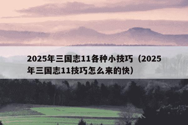 2025年三国志11各种小技巧(2025年三国志11技巧怎么来的快)