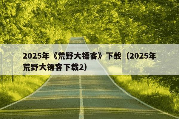 2025年《荒野大镖客》下载（2025年荒野大镖客下载2）