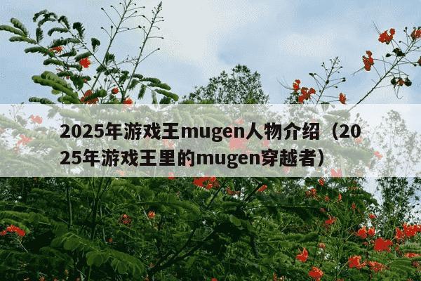 2025年游戏王mugen人物介绍（2025年游戏王里的mugen穿越者）