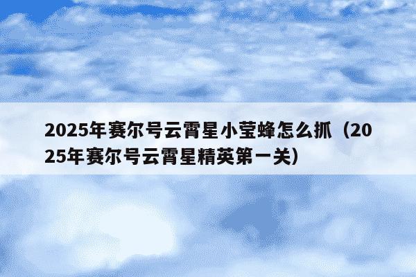 2025年赛尔号云霄星小莹蜂怎么抓(2025年赛尔号云霄星精英第一关)