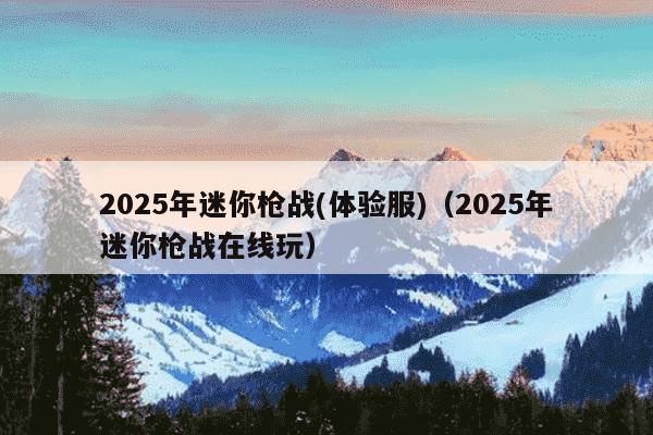 2025年迷你枪战(体验服)(2025年迷你枪战在线玩)