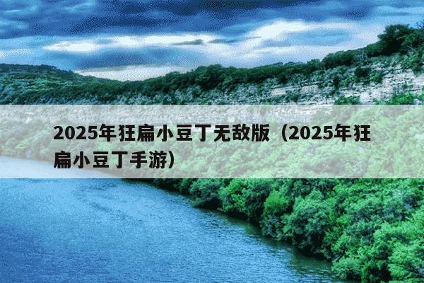 2025年狂扁小豆丁无敌版(2025年狂扁小豆丁手游)