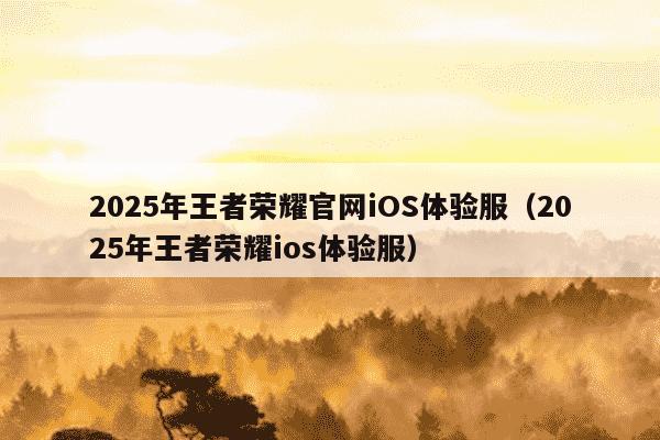 2025年王者荣耀官网iOS体验服(2025年王者荣耀ios体验服)