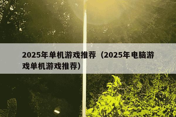 2025年单机游戏推荐(2025年电脑游戏单机游戏推荐)