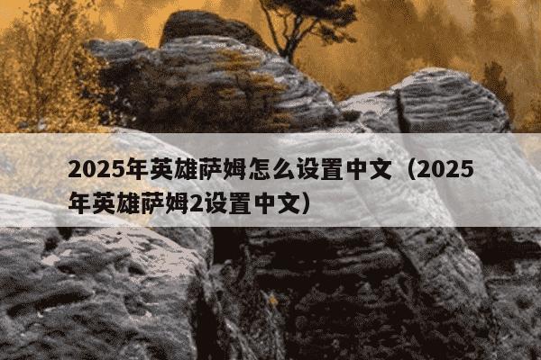 2025年英雄萨姆怎么设置中文(2025年英雄萨姆2设置中文)