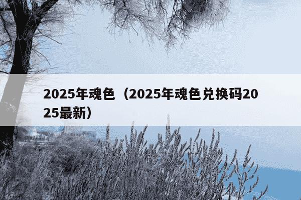 2025年魂色(2025年魂色兑换码2025最新)
