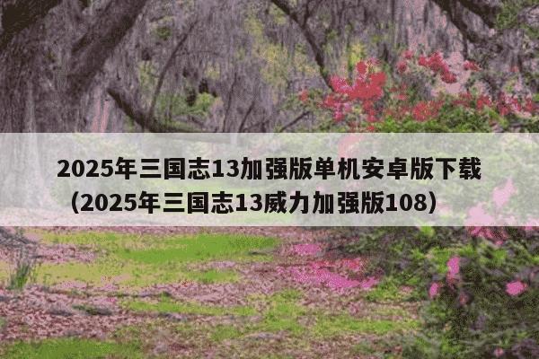 2025年三国志13加强版单机安卓版下载(2025年三国志13威力加强版108)