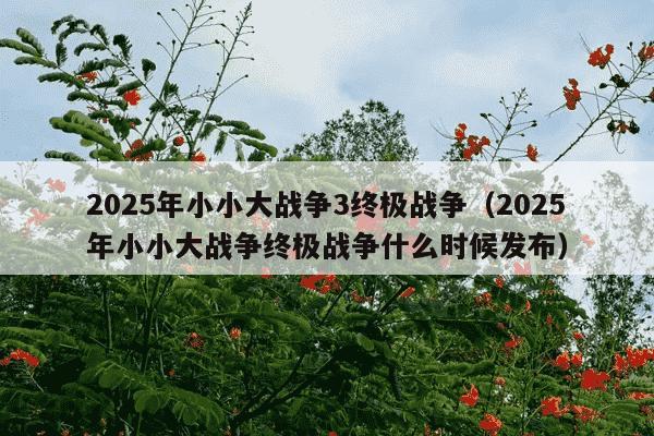 2025年小小大战争3终极战争（2025年小小大战争终极战争什么时候发布）