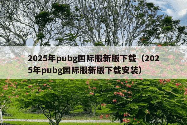 2025年pubg国际服新版下载（2025年pubg国际服新版下载安装）