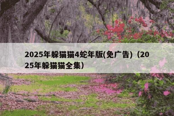 2025年躲猫猫4蛇年版(免广告)（2025年躲猫猫全集）
