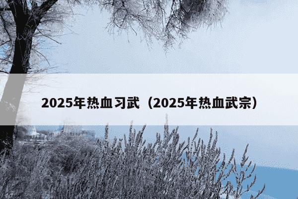2025年热血习武(2025年热血武宗)