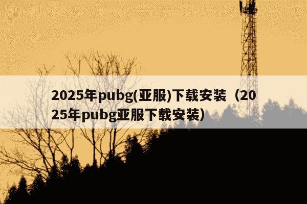 2025年pubg(亚服)下载安装（2025年pubg亚服下载安装）