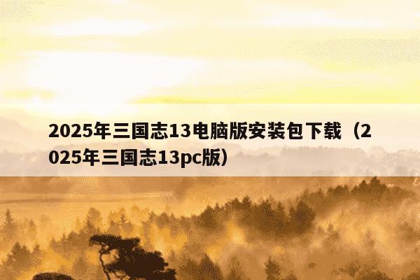 2025年三国志13电脑版安装包下载（2025年三国志13pc版）