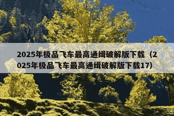 2025年极品飞车最高通缉破解版下载（2025年极品飞车最高通缉破解版下载17）