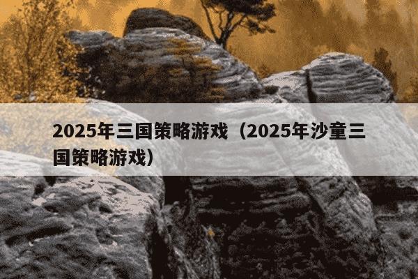2025年三国策略游戏（2025年沙童三国策略游戏）
