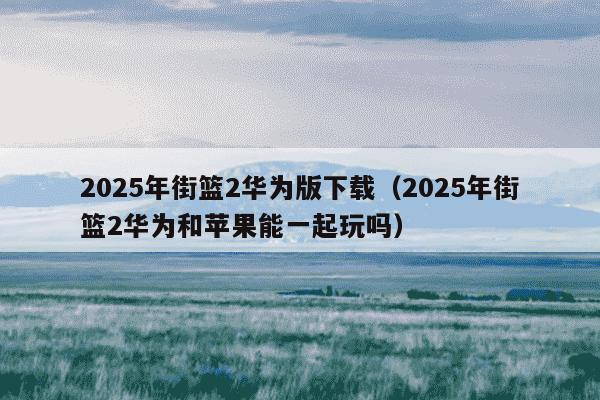 2025年街篮2华为版下载(2025年街篮2华为和苹果能一起玩吗)