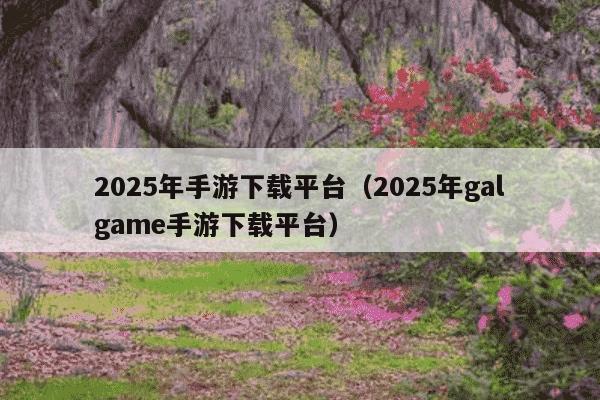 2025年手游下载平台(2025年galgame手游下载平台)