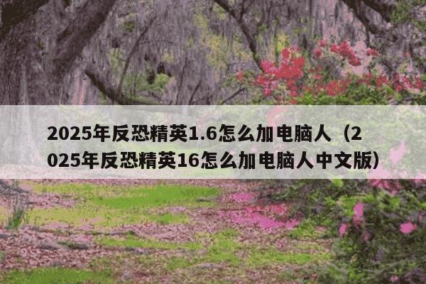 2025年反恐精英1.6怎么加电脑人(2025年反恐精英16怎么加电脑人中文版)