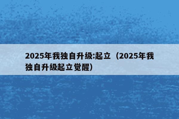 2025年我独自升级:起立（2025年我独自升级起立觉醒）
