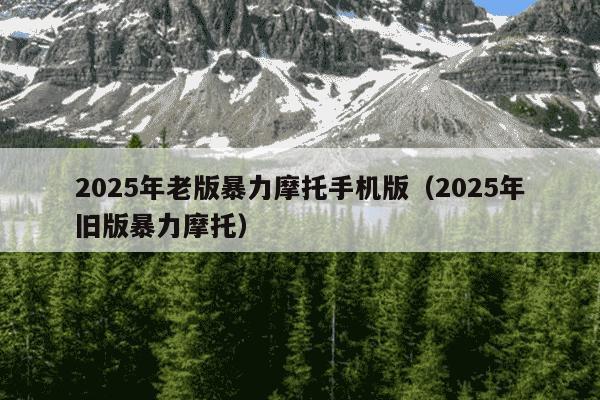 2025年老版暴力摩托手机版(2025年旧版暴力摩托)