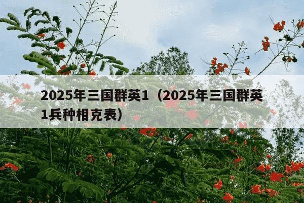 2025年三国群英1(2025年三国群英1兵种相克表)