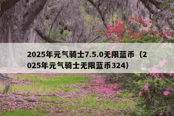 2025年元气骑士7.5.0无限蓝币(2025年元气骑士无限蓝币324)