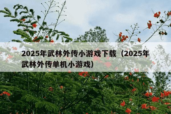 2025年武林外传小游戏下载(2025年武林外传单机小游戏)