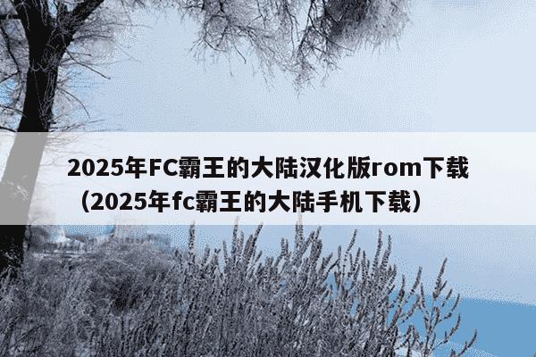 2025年FC霸王的大陆汉化版rom下载(2025年fc霸王的大陆手机下载)