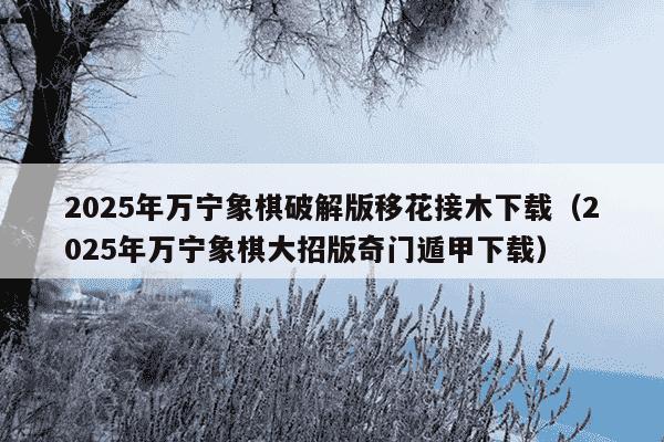 2025年万宁象棋破解版移花接木下载(2025年万宁象棋大招版奇门遁甲下载)