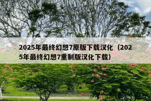 2025年最终幻想7原版下载汉化（2025年最终幻想7重制版汉化下载）