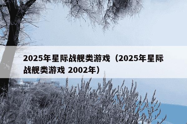 2025年星际战舰类游戏(2025年星际战舰类游戏 2002年)