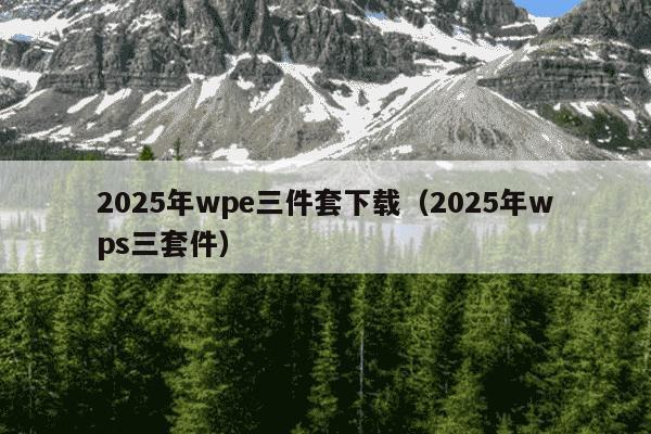 2025年wpe三件套下载(2025年wps三套件)
