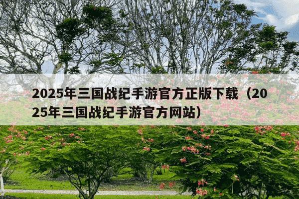 2025年三国战纪手游官方正版下载（2025年三国战纪手游官方网站）