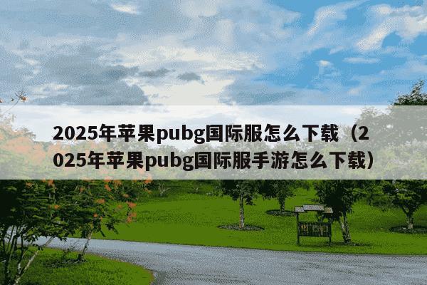 2025年苹果pubg国际服怎么下载（2025年苹果pubg国际服手游怎么下载）
