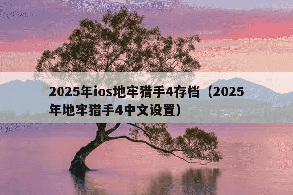 2025年ios地牢猎手4存档(2025年地牢猎手4中文设置)