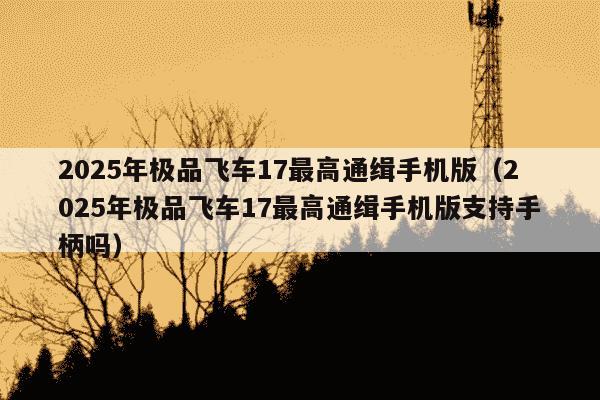 2025年极品飞车17最高通缉手机版(2025年极品飞车17最高通缉手机版支持手柄吗)