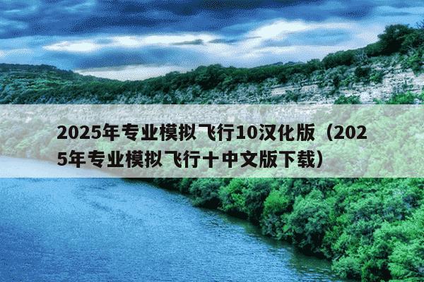 2025年专业模拟飞行10汉化版（2025年专业模拟飞行十中文版下载）
