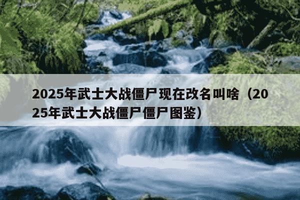 2025年武士大战僵尸现在改名叫啥（2025年武士大战僵尸僵尸图鉴）