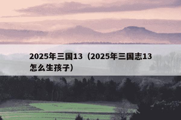 2025年三国13（2025年三国志13怎么生孩子）