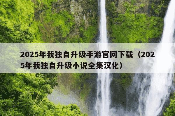 2025年我独自升级手游官网下载（2025年我独自升级小说全集汉化）