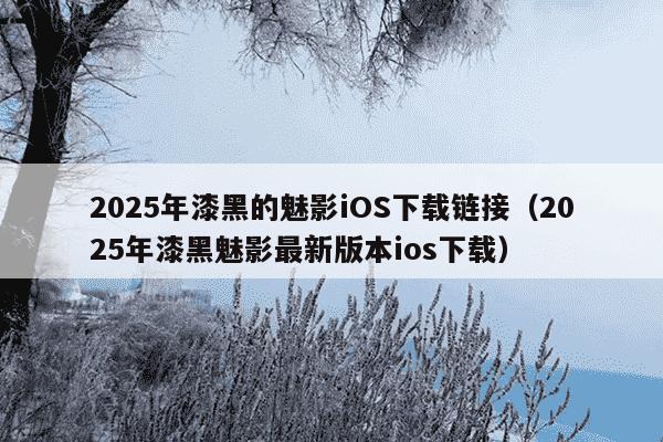 2025年漆黑的魅影iOS下载链接（2025年漆黑魅影最新版本ios下载）