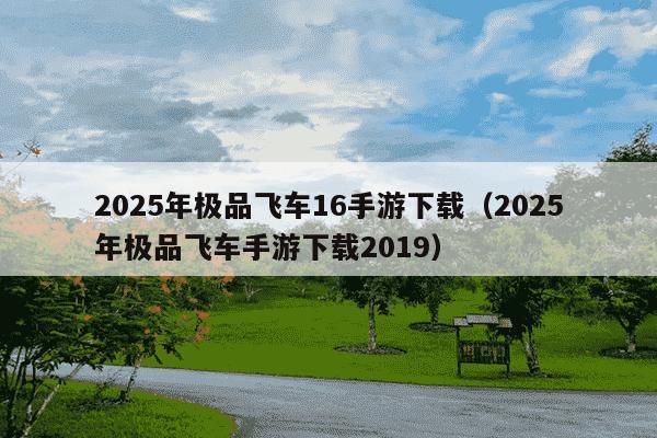 2025年极品飞车16手游下载（2025年极品飞车手游下载2019）