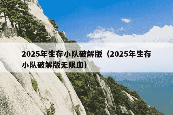 2025年生存小队破解版（2025年生存小队破解版无限血）