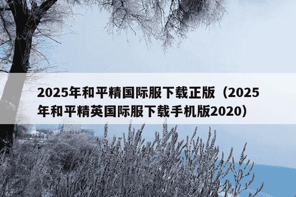 2025年和平精国际服下载正版（2025年和平精英国际服下载手机版2020）
