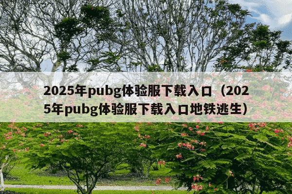 2025年pubg体验服下载入口(2025年pubg体验服下载入口地铁逃生)