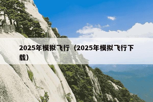 2025年模拟飞行(2025年模拟飞行下载)