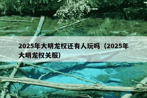 2025年大明龙权还有人玩吗（2025年大明龙权关服）